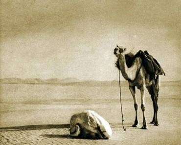 A nomad prayer on a desert in Africa. The photo probably taken by Kazimierz Nowak (1897-1937) during his trip through Africa - a Polish traveller, correspondent and photographer. Probably the first man in the world who crossed Africa alone from the North to the South and from the South to the North (from 1931 to 1936; on foot, by bicycle and canoe).