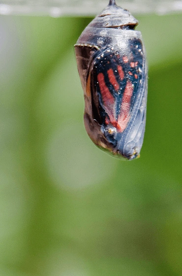 Photo by Jenny Stein